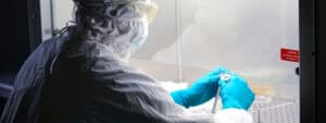 scientist laboratory development plasmid dna