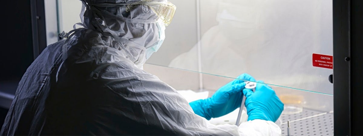 scientist laboratory development plasmid dna