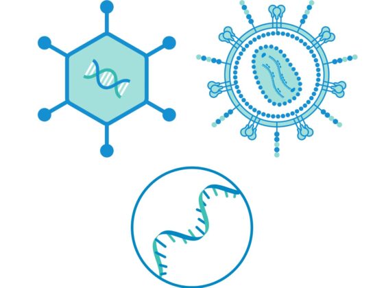 manufacturing plasmid dna