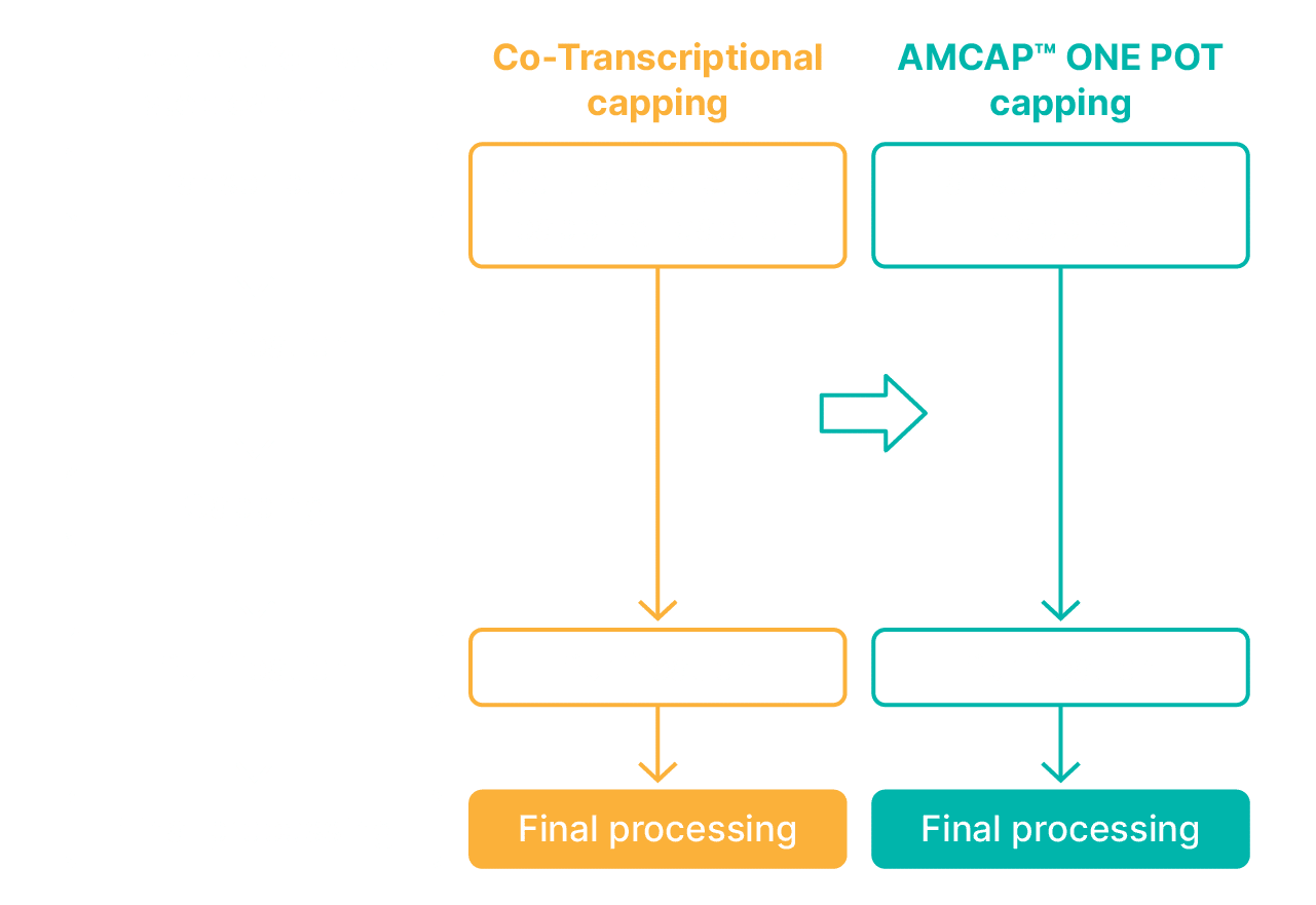 AMCAP processing